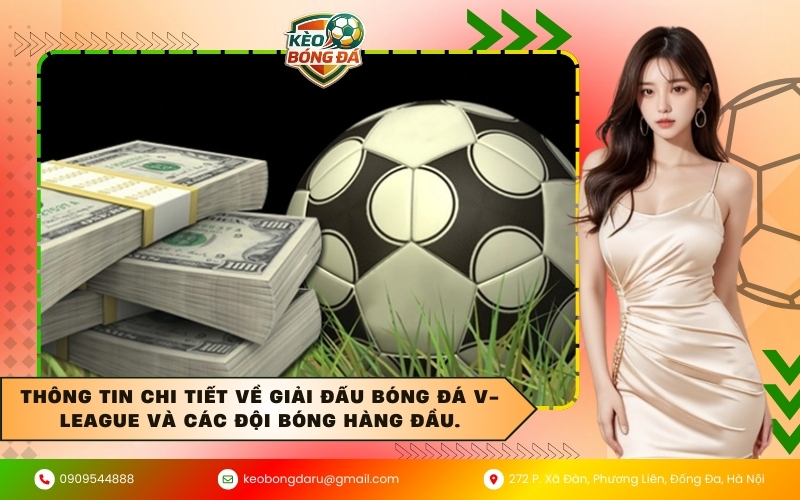 Thông tin chi tiết về giải đấu bóng đá V-League và các đội bóng hàng đầu.