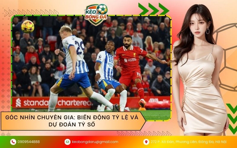 Góc nhìn chuyên gia: Biến động tỷ lệ và dự đoán tỷ số