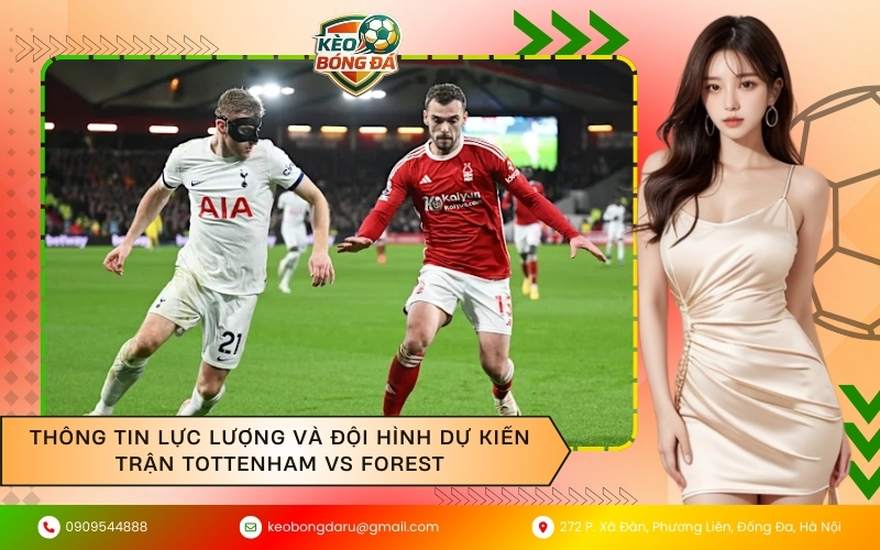 Thông tin lực lượng và đội hình dự kiến trận Tottenham vs Forest